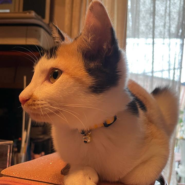 9f966242 a251 47a4 b1ac db08700109b4 1665108203470