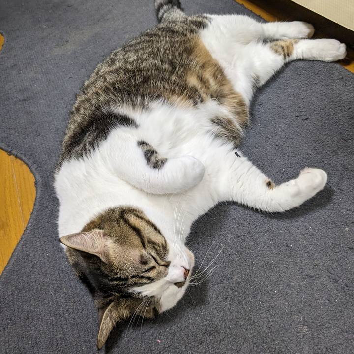 9f967d43 f822 4c46 9221 544a73f65a6c 1697373930872