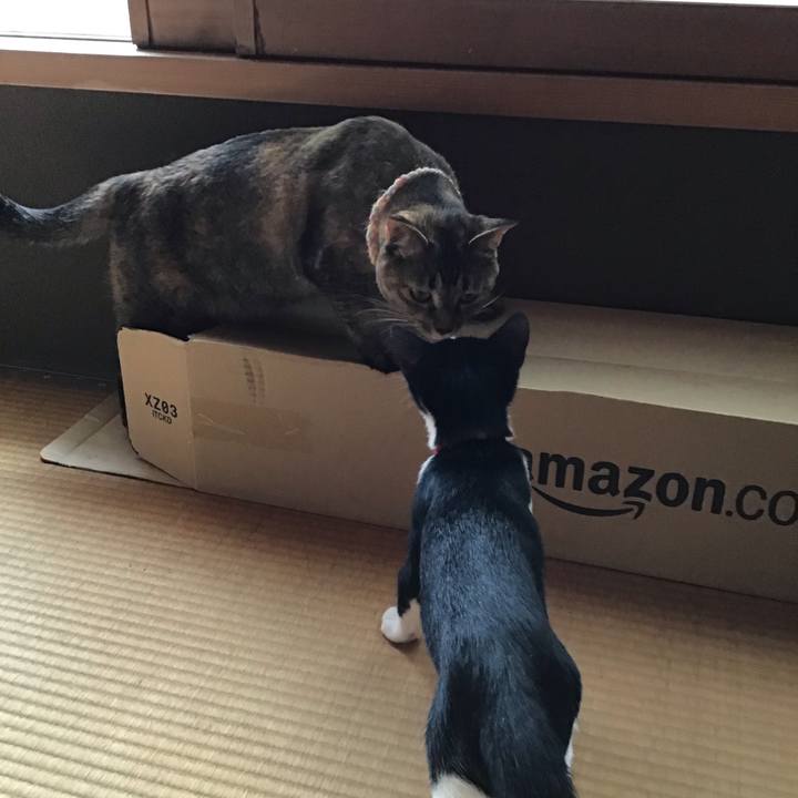 9f96c5b8 2f02 4991 9ff4 568672ad41b8 1627701083180