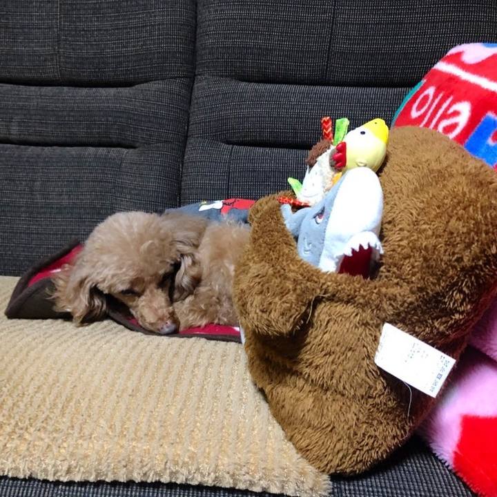 9f96c6ac 21c2 446b 973c df8af91fc738 1637449194802