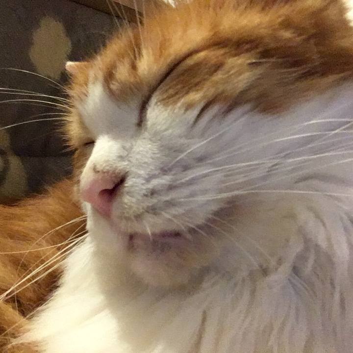 9f96e498 79fe 4cf6 94c7 5e2919674db8 1573482151095