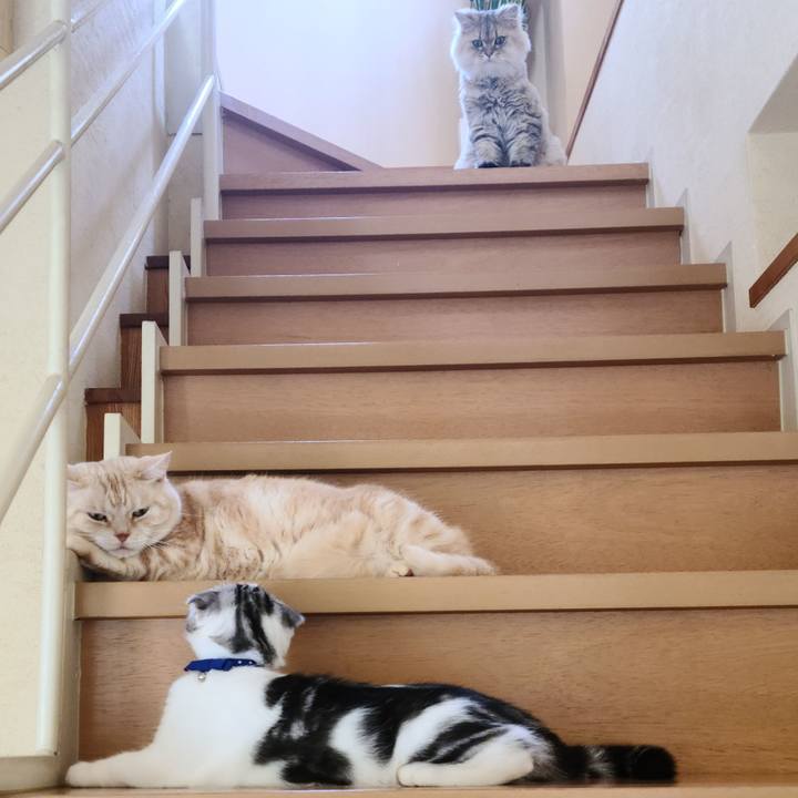 9f96e57f 4601 452d 99ee 0b7fd8f3e910 1630992909366