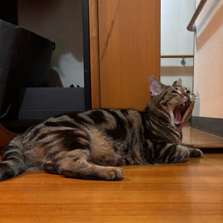 9f96f714 5958 45a0 a43f 37fa3740bc95 1758285667696