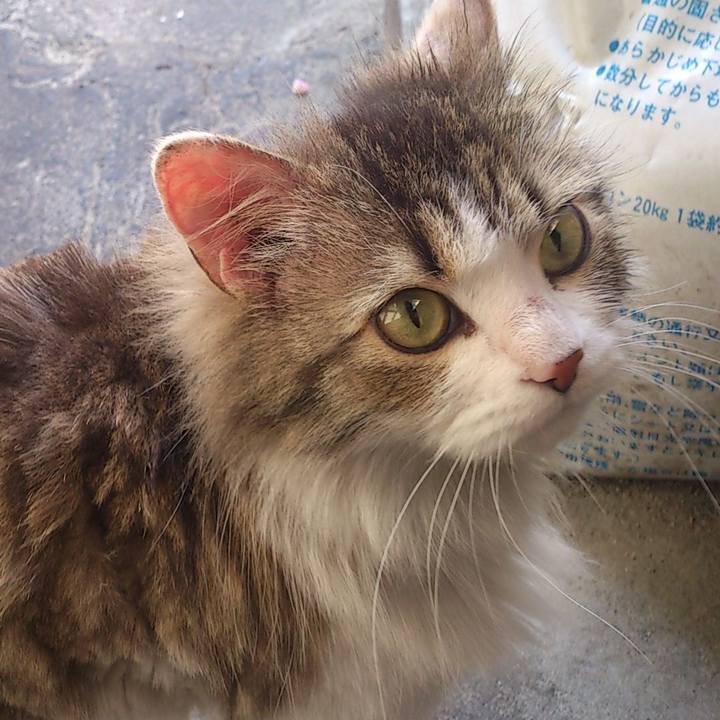 9f9716d7 4f6e 4d2d 8819 593084198ea3 1592350742382