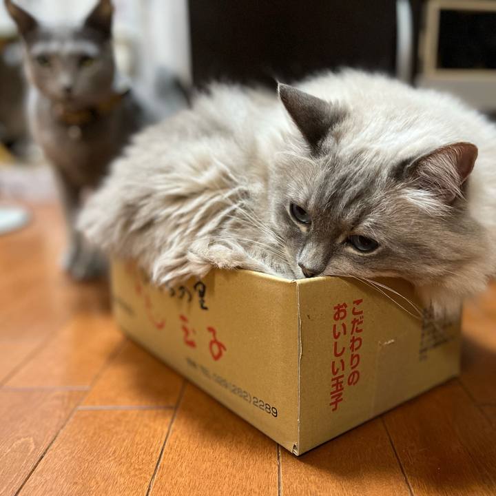 9f972c8b 23a5 4e3e a7c2 b46fb53f5bcc 1635597718175