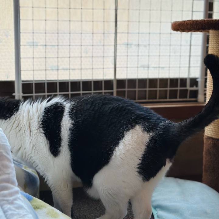 9f973024 e243 42af be7b eb2aa7f1bd1a 1716166866590