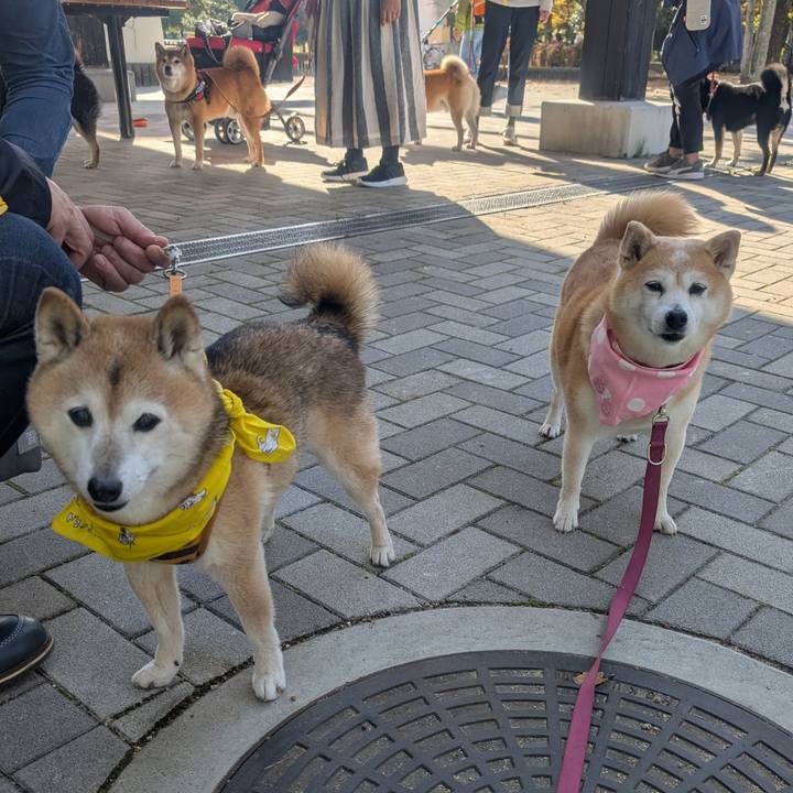 9f973f85 bb41 4063 9d33 b30dd0d1124d 1763297250285