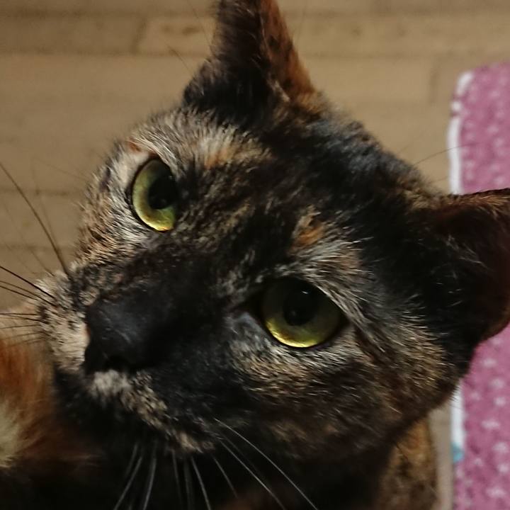 9f975e48 f309 4612 942b a1c9936d41f2 1547733951820