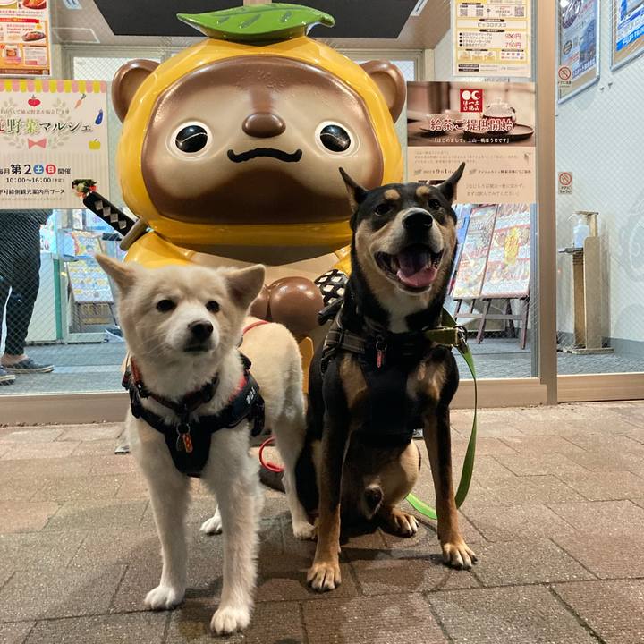 9f977506 d116 4994 8c21 091f60b02ee3 1699289625662