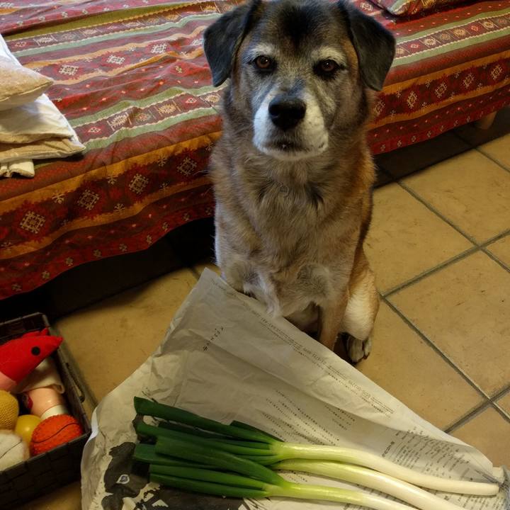 9f977564 d856 4c0f bf83 a388d5efd55e 1513205923122