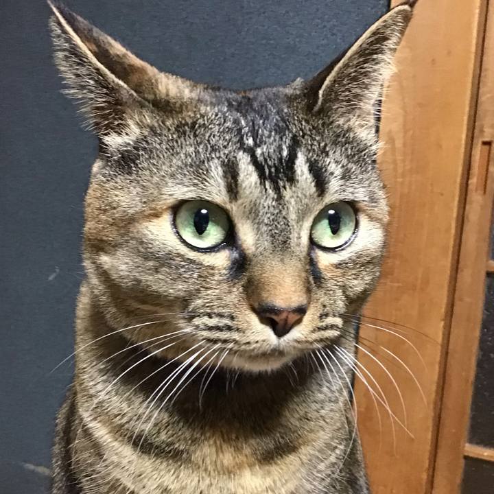 9f978a8f 70bf 4b4d a436 099f5509e8c5 1738672780804