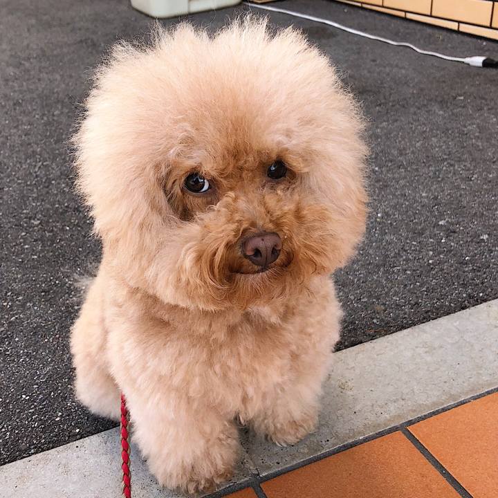 9f97be83 588b 430d bf32 cbdbfc0485ef 1540163226688