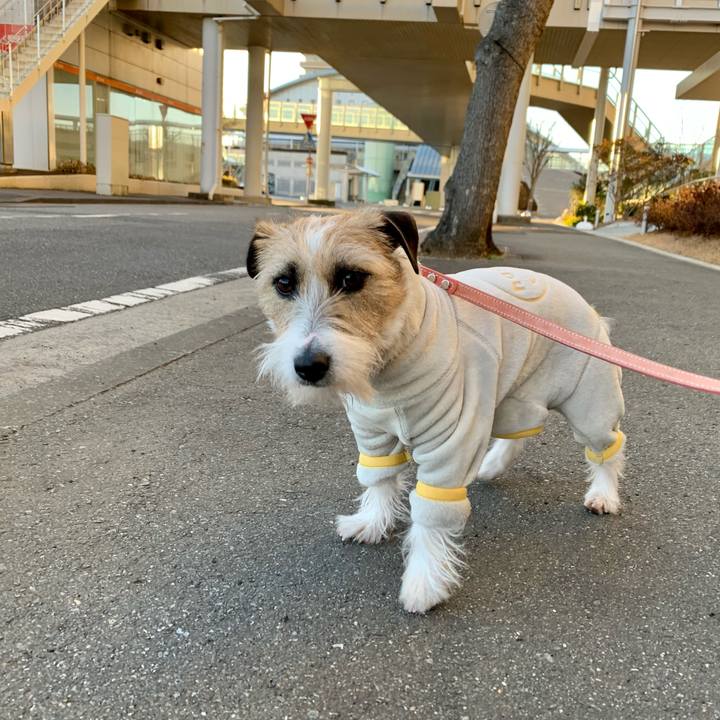 9f97dff5 b66b 4023 ac62 2ab4dac50b1d 1612090550849