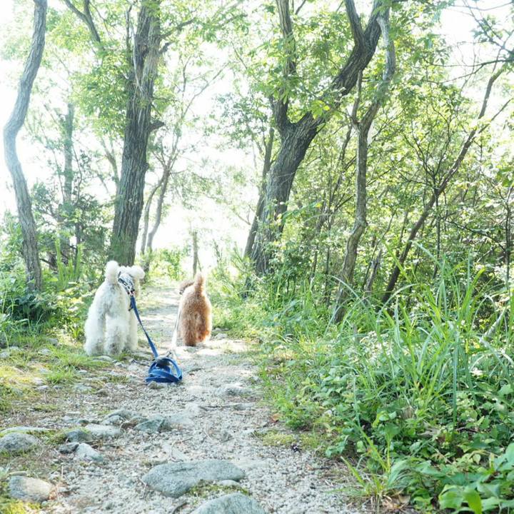 9f980c89 0418 42b1 9133 a17b529ad632 1528105563444