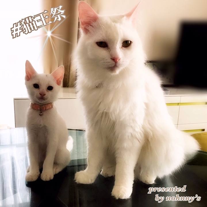 9f9818bb 29ae 4ad0 aa1b 6176d5cbbbaa 1566250392240