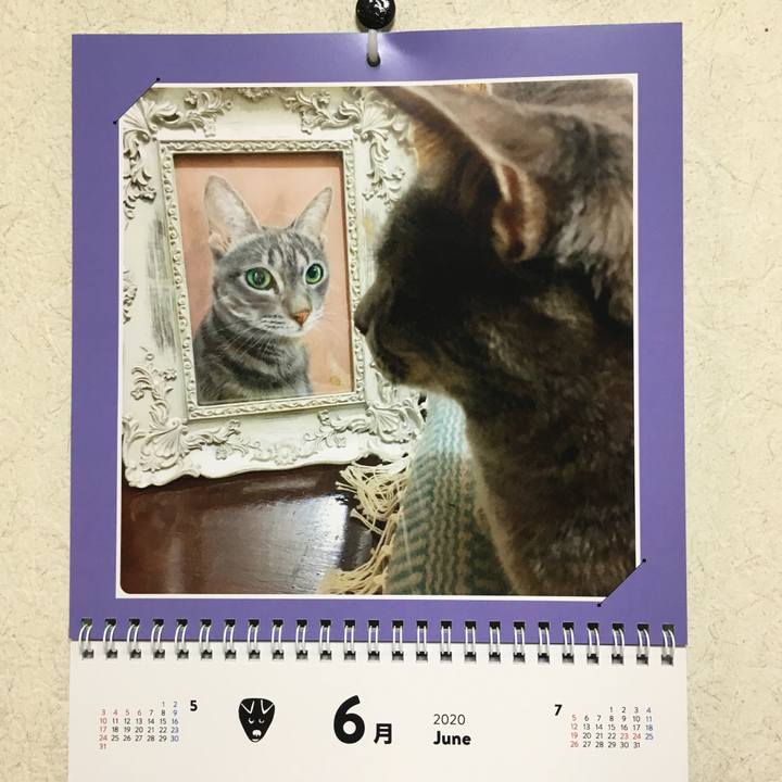 9f98393b c77e 4339 a0c7 ed0bd87e190a 1591017586780