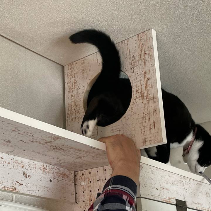 9f987b3f 70d8 40d3 85b0 9051545a5b26 1652063477729