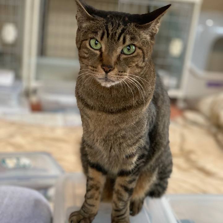 9f989b3e ff35 4a66 b18d 5b01671a7aa9 1552784965174