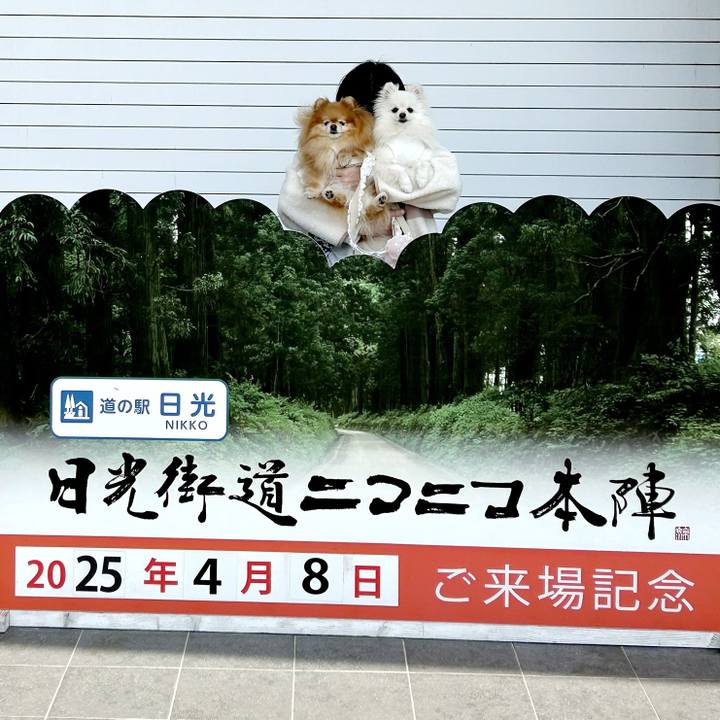 9f98a9b7 8e63 409f 9cbf 236068689d3c 1744170255590