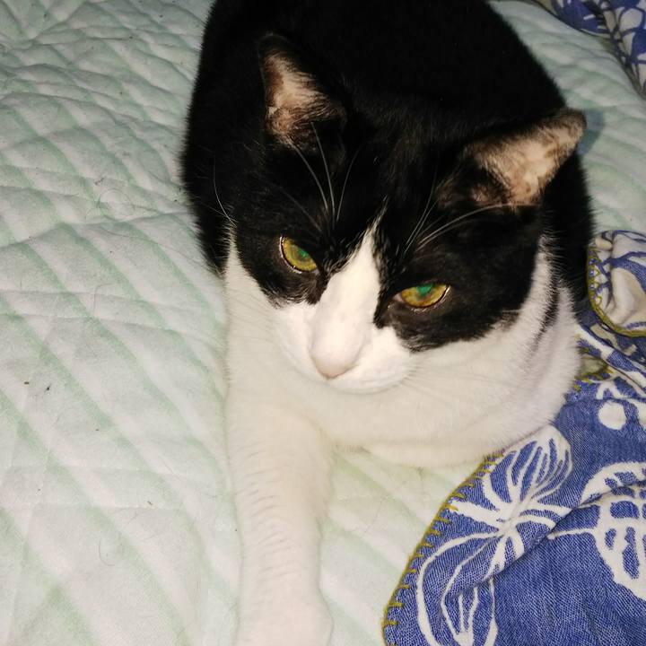 9f98adb7 b0de 40c3 9ffe 16a88906309c 1535320047335