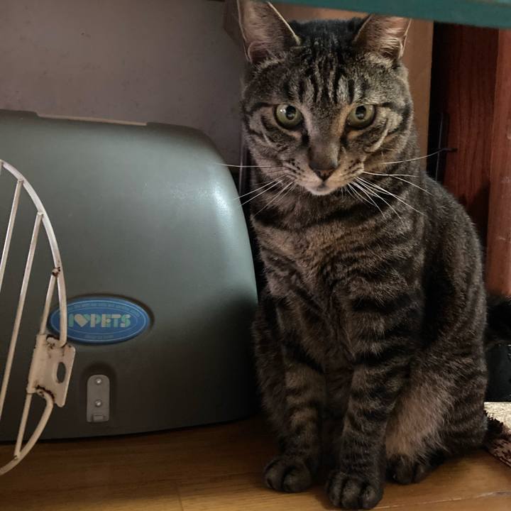 9f98ba7c cf0a 4d22 ad8d c0a75045366e 1745713931860