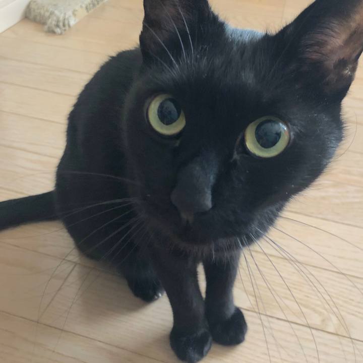 9f98dcbc 4c00 48e2 800f 688fa84af32d 1578099091214