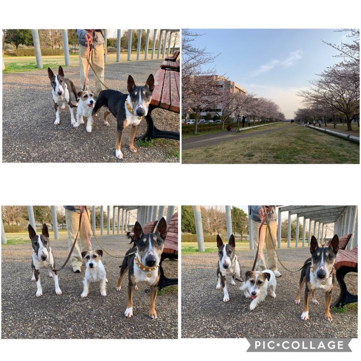 9f98f793 9bac 4014 b88b 1da94f712d15 1584877595453