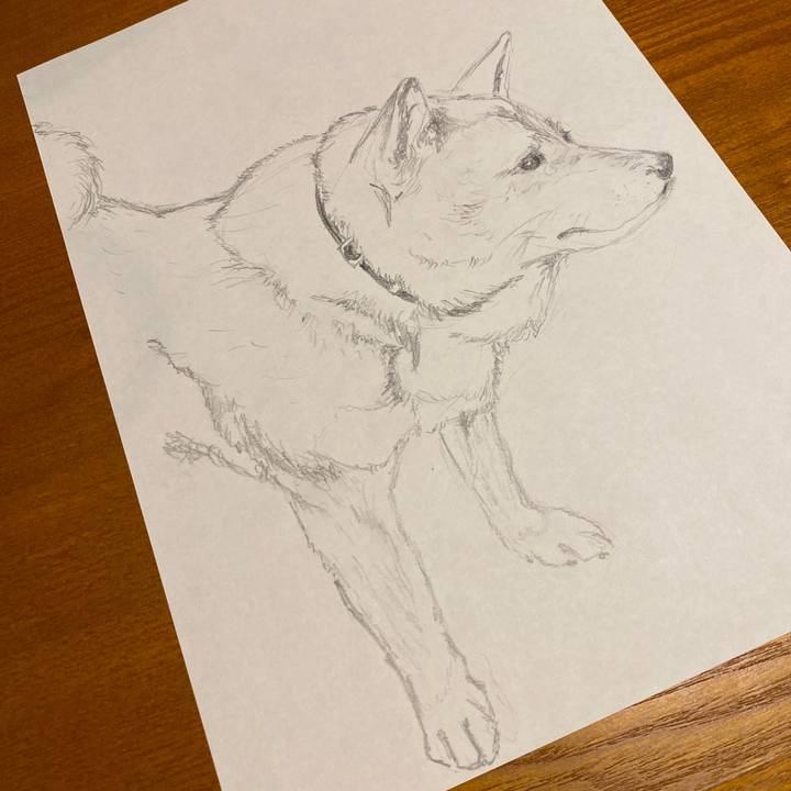 9f992ab3 b04f 4454 9e34 caeda713304e 1590845051972