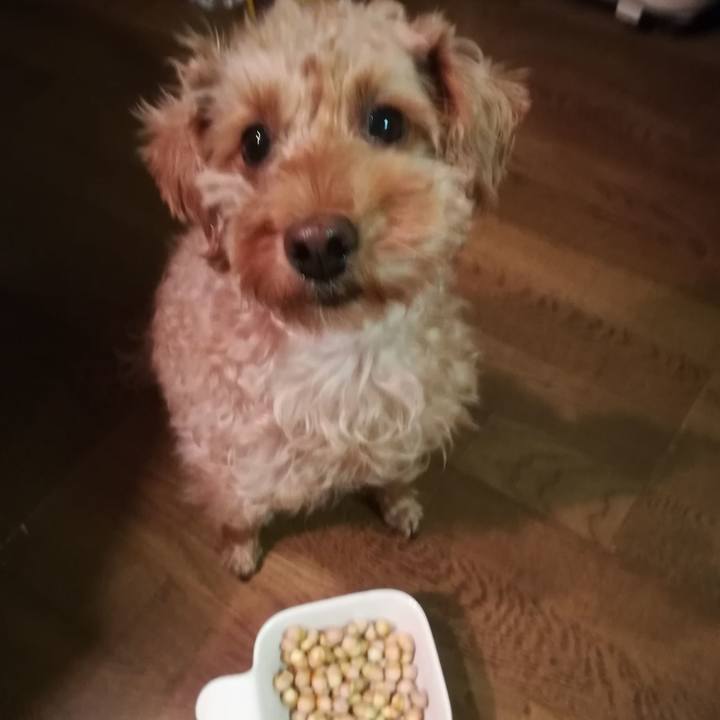 9f993de2 6609 44a6 9985 5227a190c9d4 1573210118034