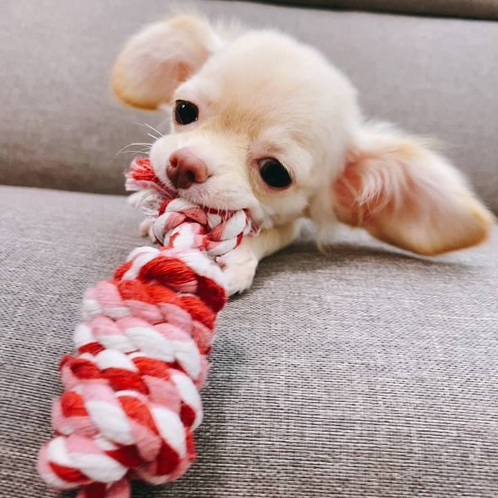 9f9991c3 138e 4ca2 8085 2dea8e9fcce9 1591590868100