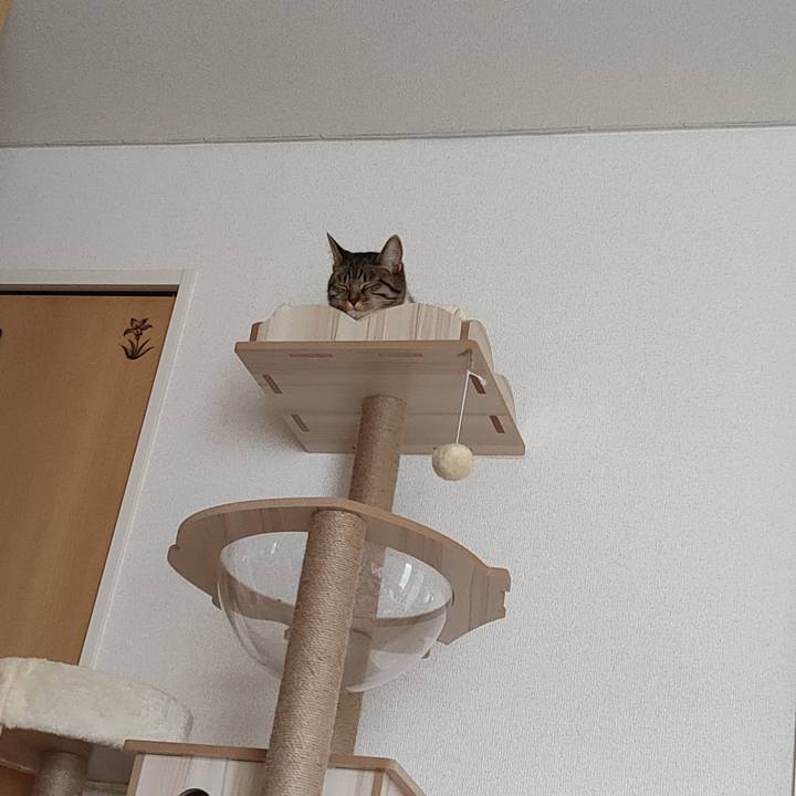 9f9993f2 b76c 452c ba34 8ec9f2fc04bf 1662093650766