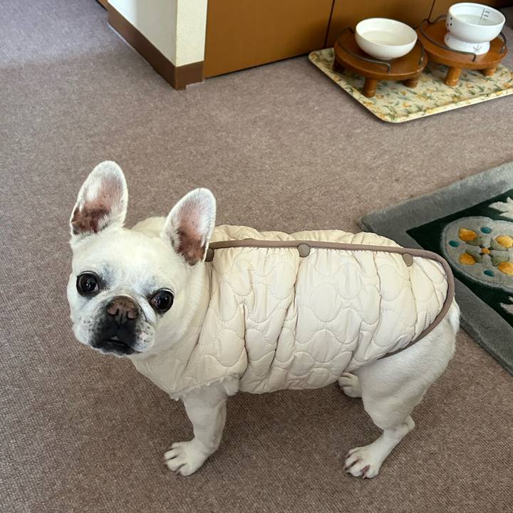 9f99eba4 30c0 410c 9c60 16586154cc79 1709897282379