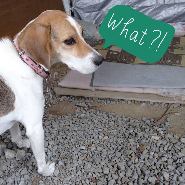 9f9a060d 077a 41cb 8e28 1fa356fd6ede 1601438643459