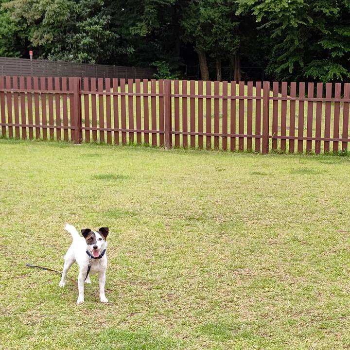 9f9a1d78 608c 4ab4 9f3f fe1e9527c791 1654872408264