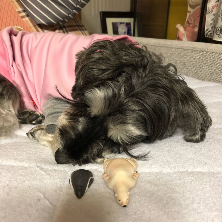 9f9a3617 b271 46bb a632 dddab972267c 1669383770064