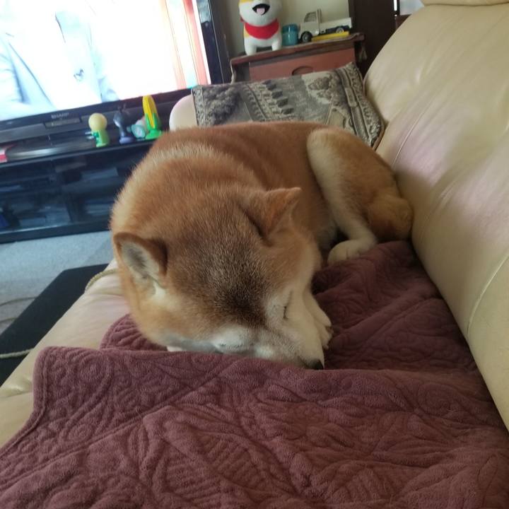 9f9a606f 876c 4600 98ac 723fa5ed9155 1690680366102