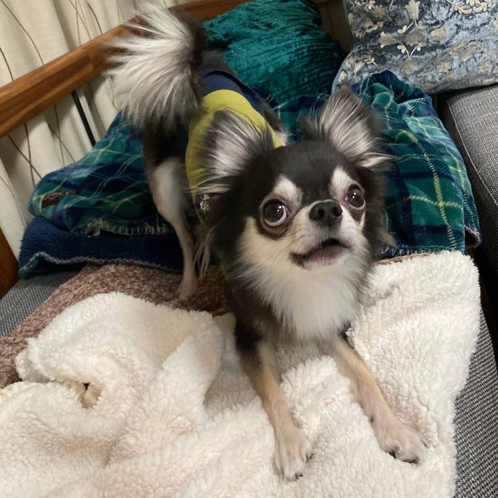 9f9aa37e 0412 4589 b6a3 972917c2cee0 1644673009312