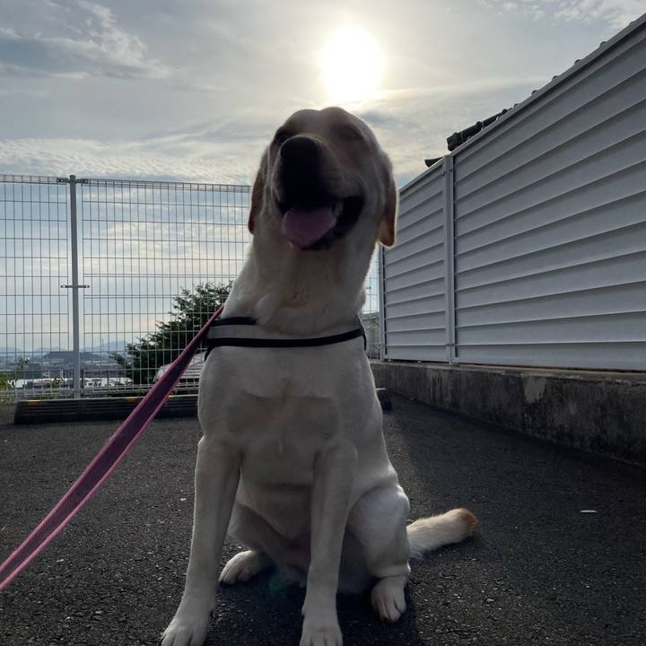 9f9aca44 143d 44e4 bbf5 e1d3886daeac 1657713831113