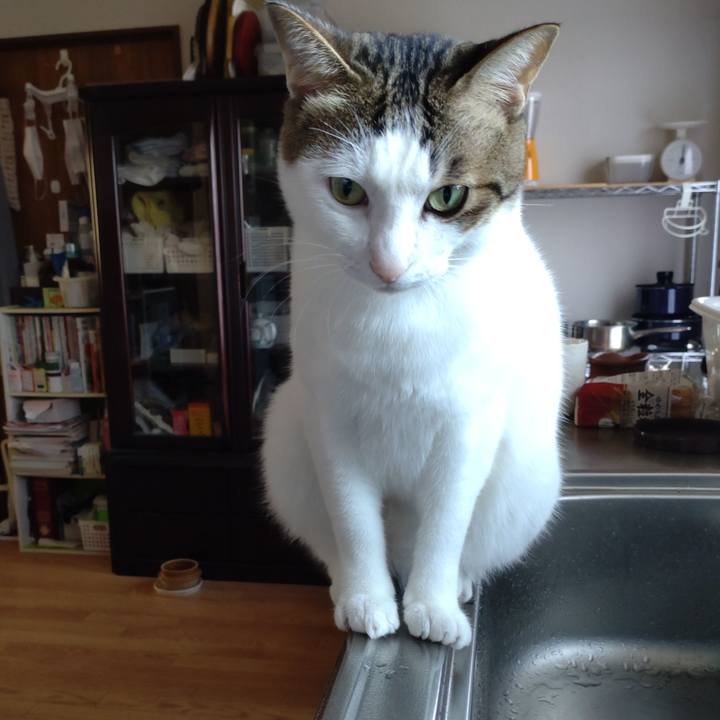 9f9b09b5 286f 4223 b098 3228cd3f0722 1695351942927