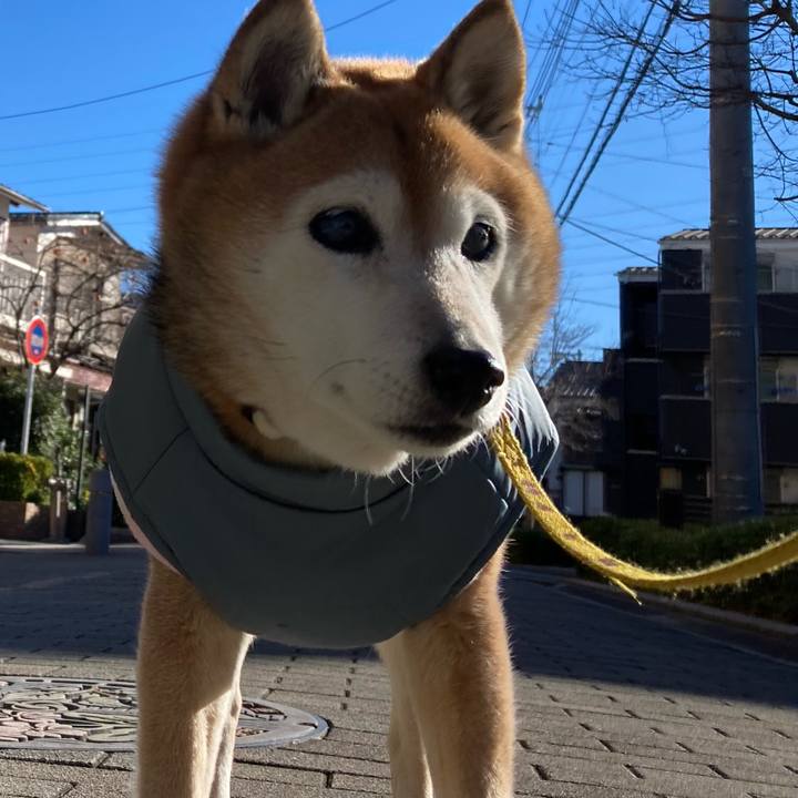 9f9b0fb2 7562 4045 b969 6e011be136d5 1766021137910