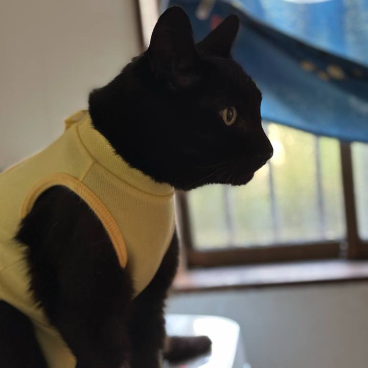 9f9b11e3 3089 4bfe b211 744283d19086 1714356486230