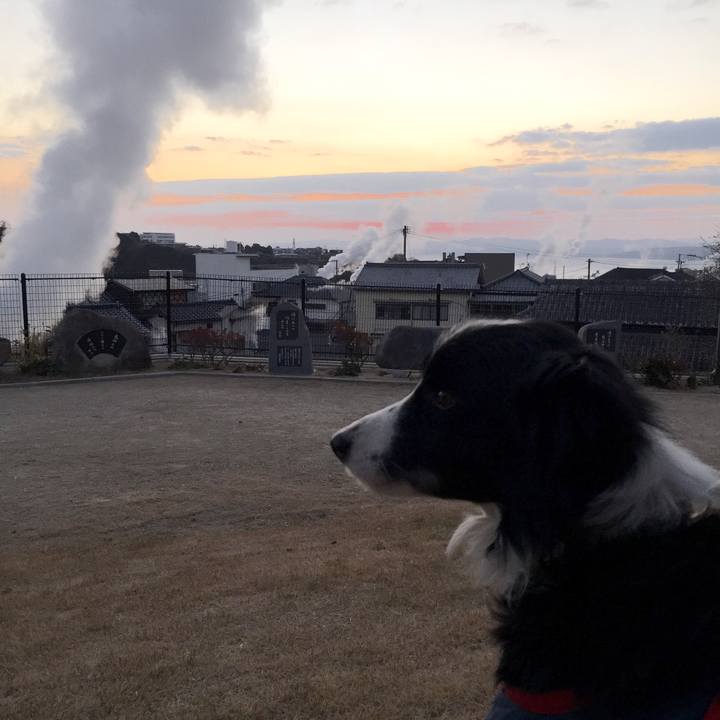 9f9b177c b6a3 4558 b809 dece5e50aadb 1514845281466