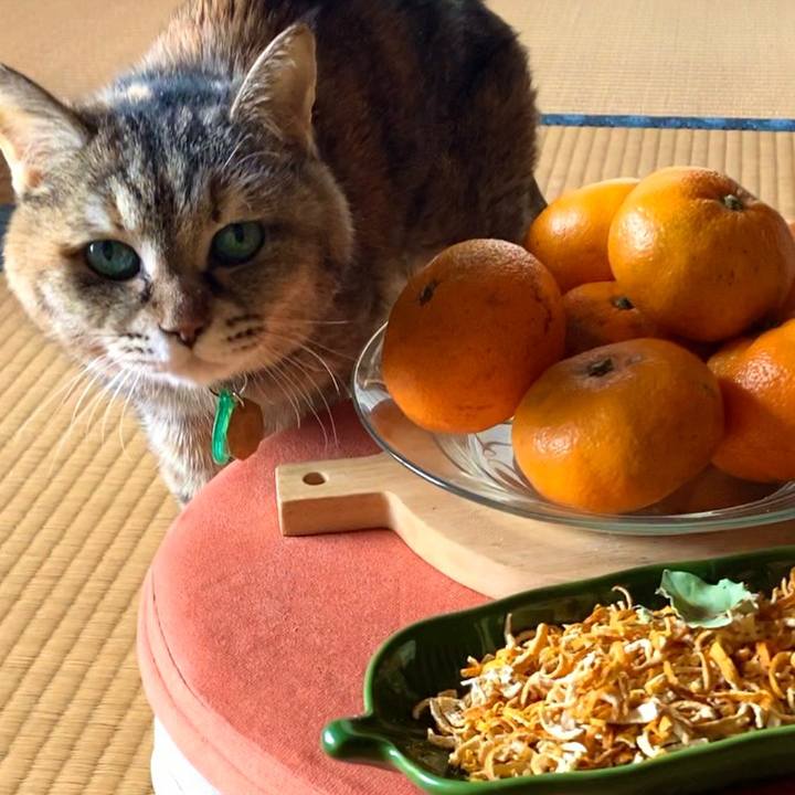 9f9b2d78 9daf 444d b065 9dbd105c2192 1608520368821