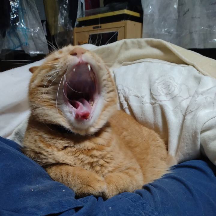 9f9b448b b8e4 46b5 bcb9 93f467916334 1700819570139