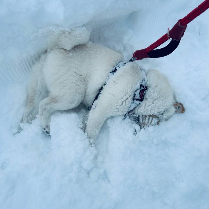 9f9b46fa 3862 43b0 9aa7 217e7b778513 1704765501230