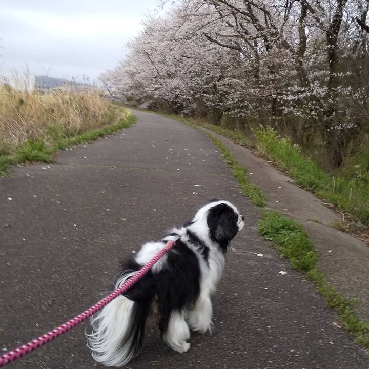 9f9b6f20 f57c 48cf 835c 8e7f6984c8d9 1586000394050