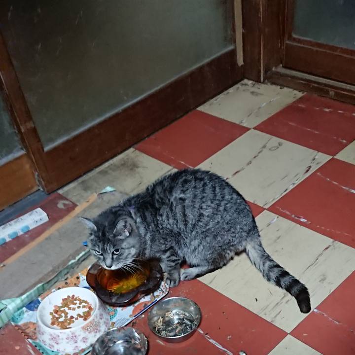 9f9b7f6d 02ab 4256 8ace d6a048d63d69 1578429090230