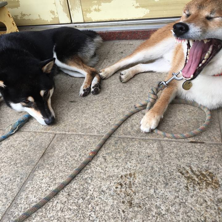 9f9bcda5 a037 4fd5 8142 a1d102cf540b 1536990925520