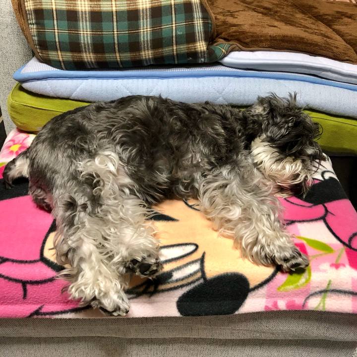 9f9bcdcb 8707 4310 ac5c a465dc2c6ad2 1666512797206