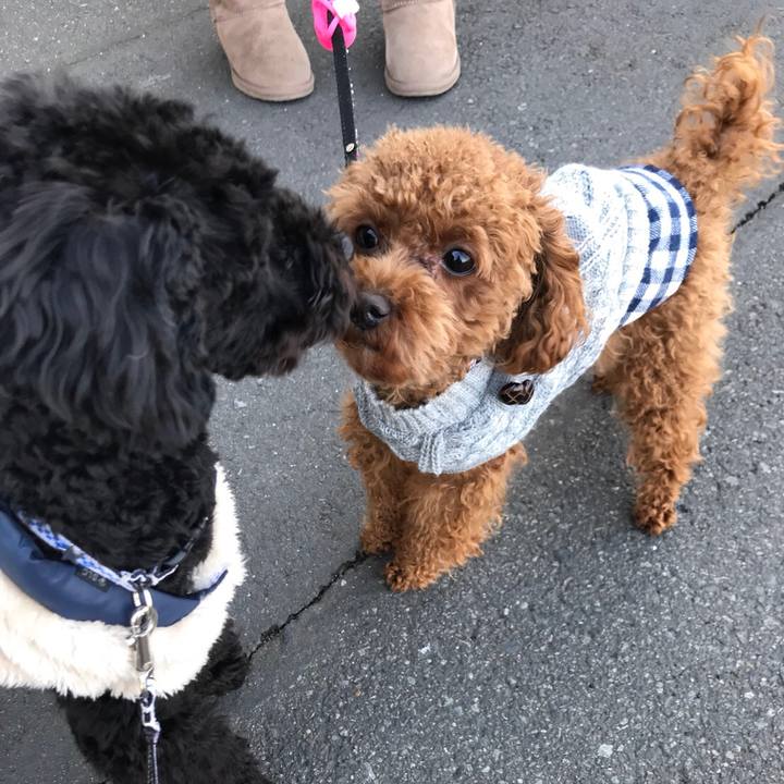 9f9bd77c 231a 44d0 a1ae 08b61251b796 1516516438620